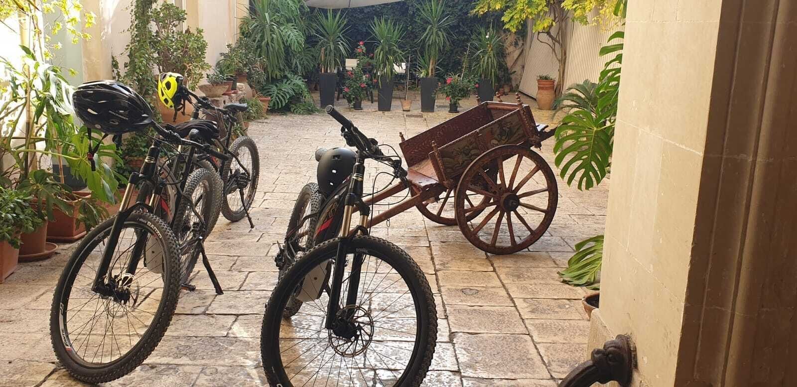 Un patio con bicicletas, un carro de madera y plantas en macetas.
