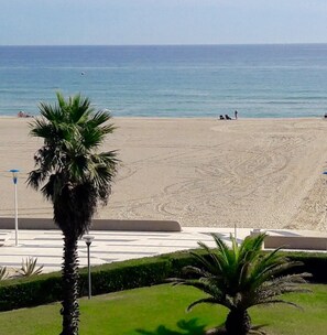 On the beach - Rental apartment F2 calm facing the sea direct beach access Canet-en-Roussillon (Canet-en-Roussillon)