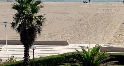 Miete wohnung F2 ruhig mit blick auf das meer direkter strandzugang Canet-en-Roussillon