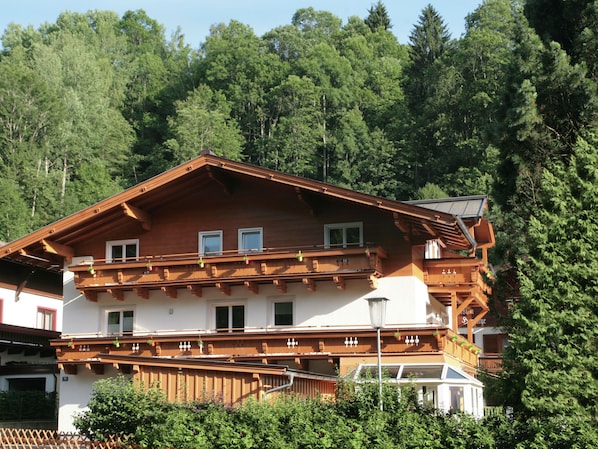 Exterior - Modern Villa Near Ski Area in Zell am See (Zell am See)