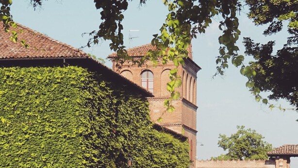 Un bâtiment à la façade en briques, en partie recouverte de lierre.