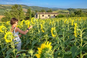 Garden - Agriturismo Casa Greppo - Il Mandorlo (San Venanzo)
