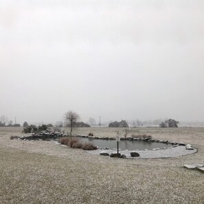 A rural landscape with a pond, surrounded by a stone wall and a grassy field. - Agriturismo Bassanine (Monticelli d'Ongina)