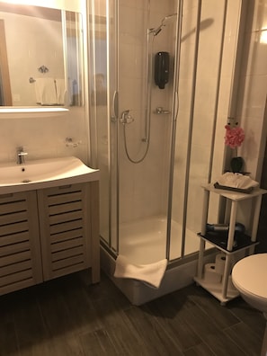 Shower, free toiletries, hair dryer, towels