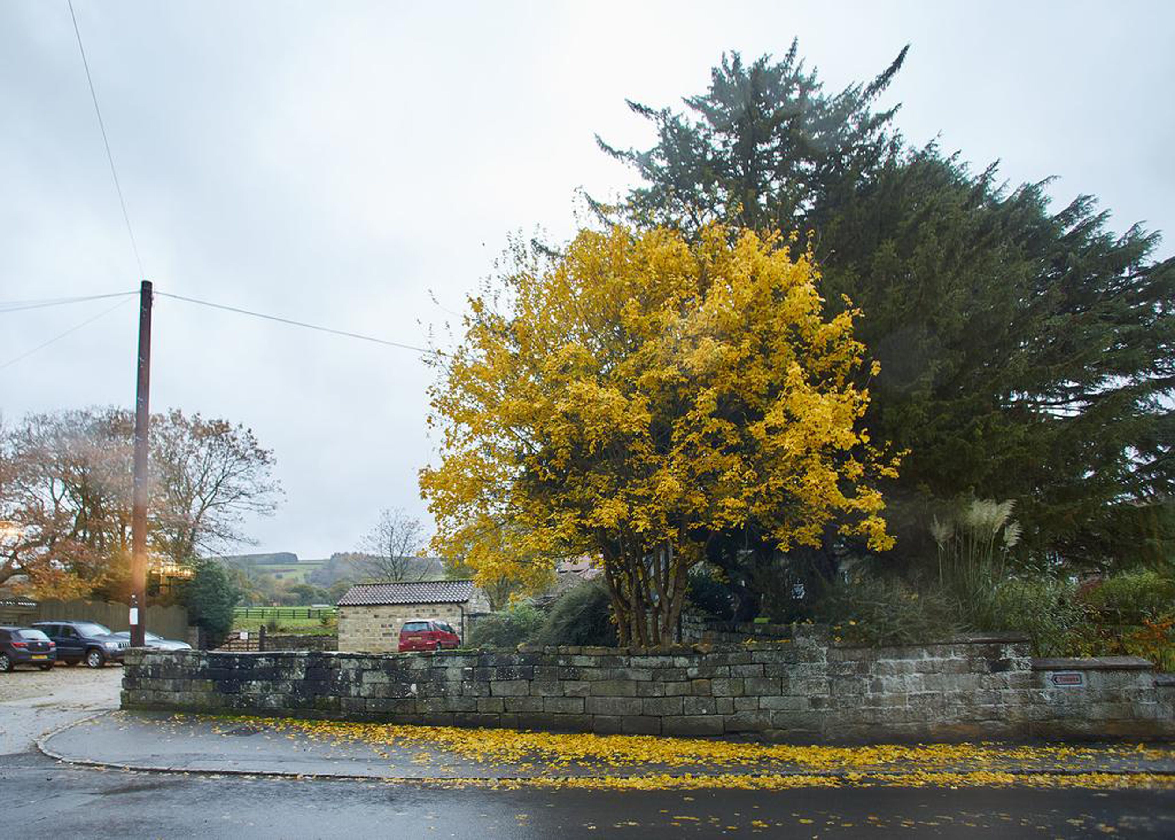 A stone wall with a tree displaying yellow leaves, a parked car, and a small building in the background.