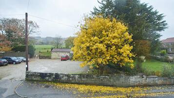 A rural setting with a large yellow tree, a stone wall, and parked cars.