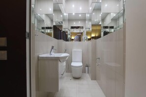 Bathroom features a sink, toilet, and mirror in a compact, minimalist design.