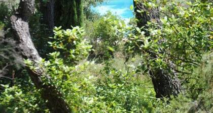 Les Lavendres (Sleeps 4/6. 2 Bedrooms)