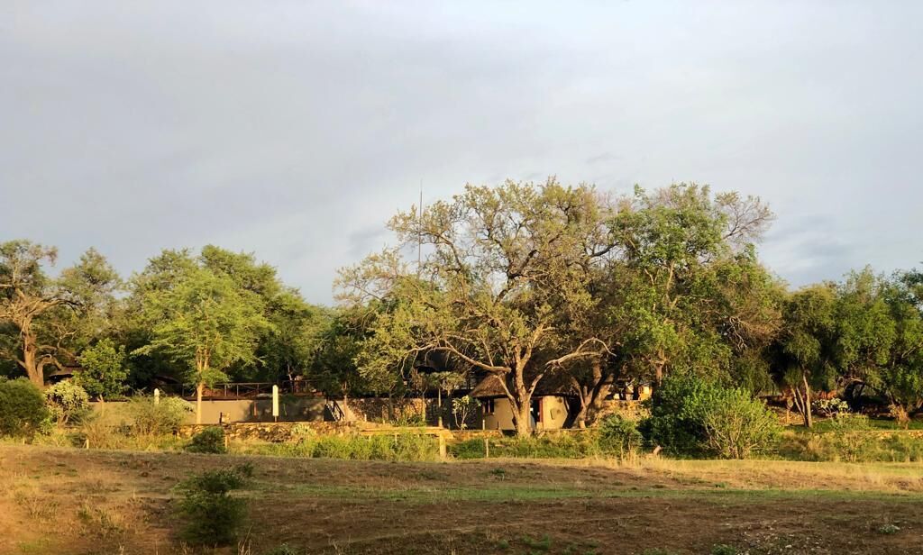 A rural landscape with trees and a small building.