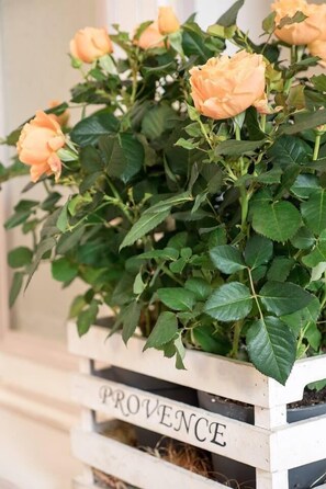 Détail de l’intérieur