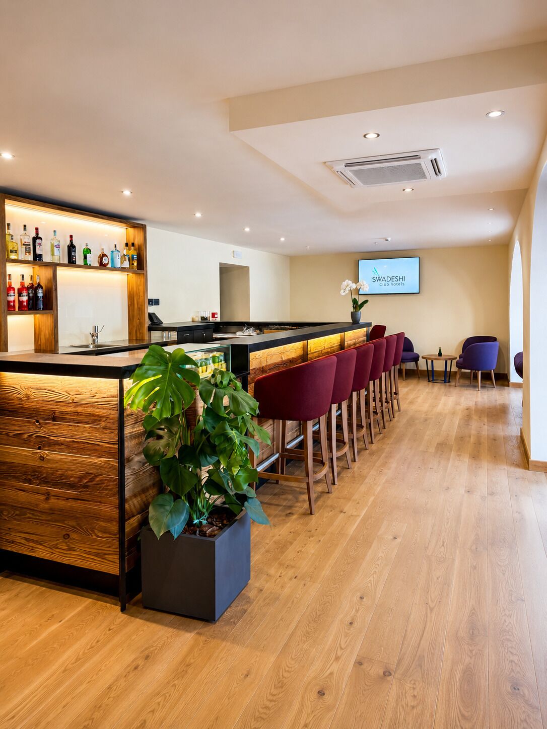 A bar area with a wooden counter, a potted plant, and red bar stools.