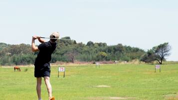 Driving range golf indoor