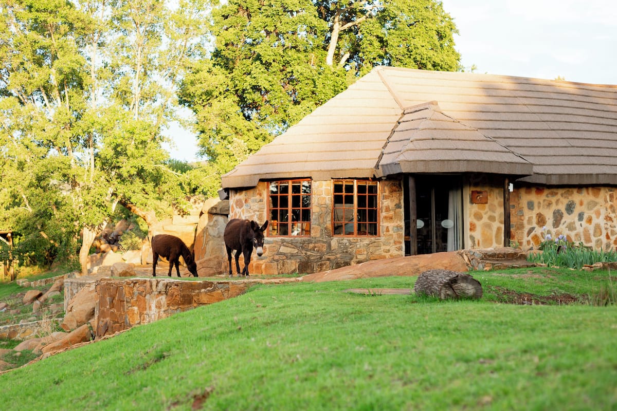 A stone building with a thatched roof, a stone staircase, and a grassy area with two donkeys.