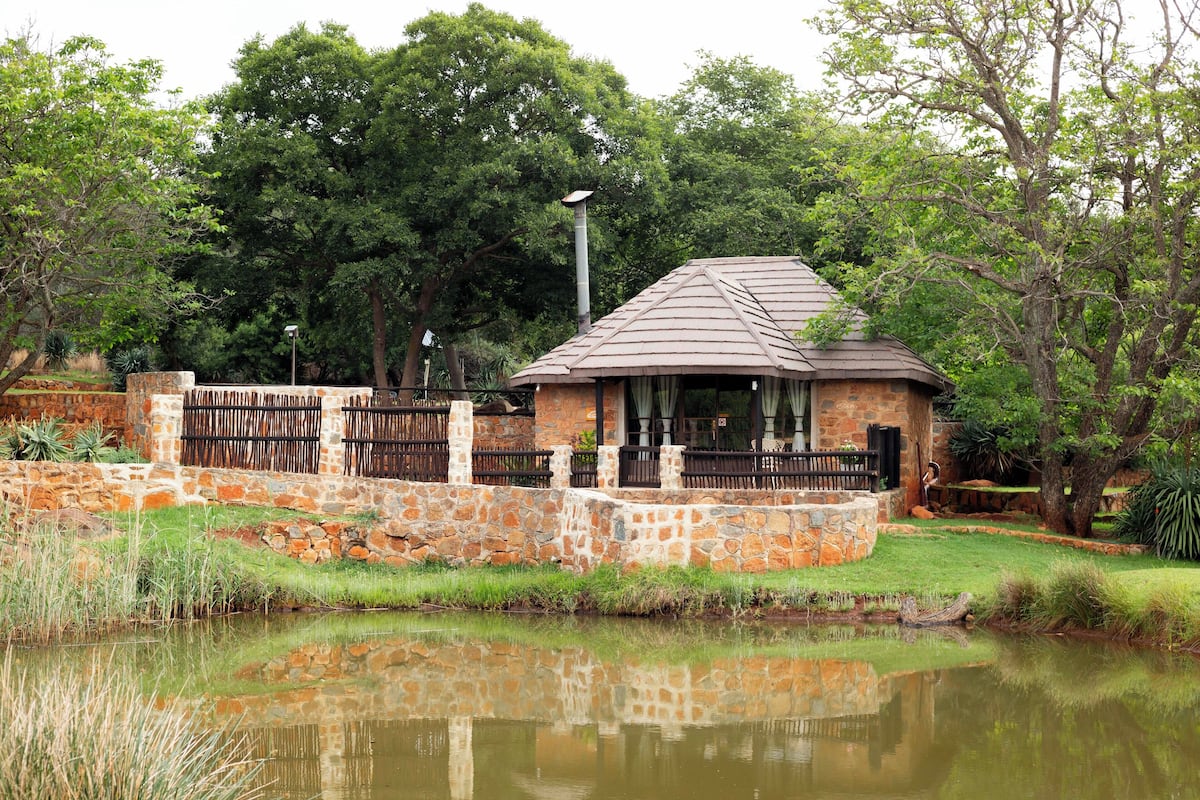 Golden Cabin (3) | Terrace/patio
