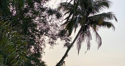 aqua water front resort a periyar river view villa