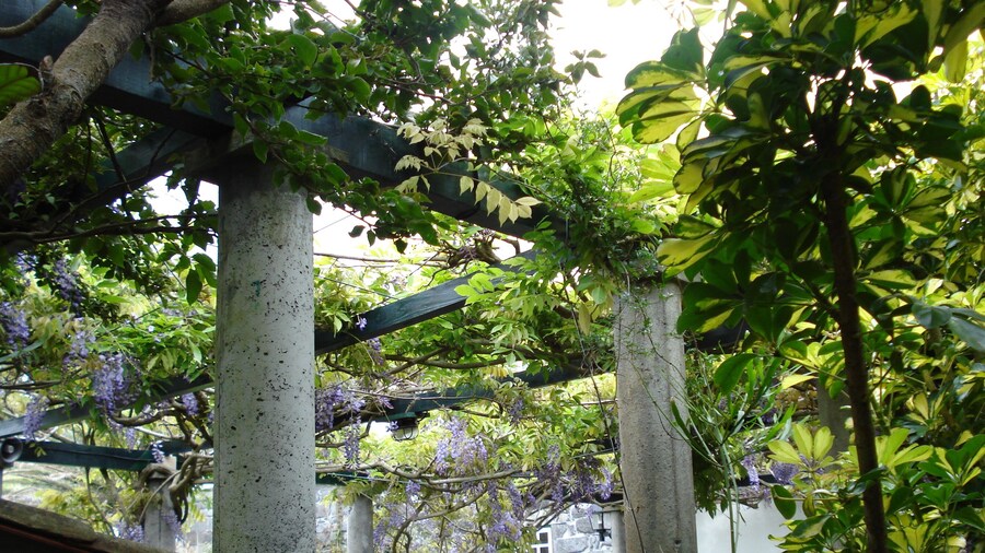 Quinta das BuganvĂlias