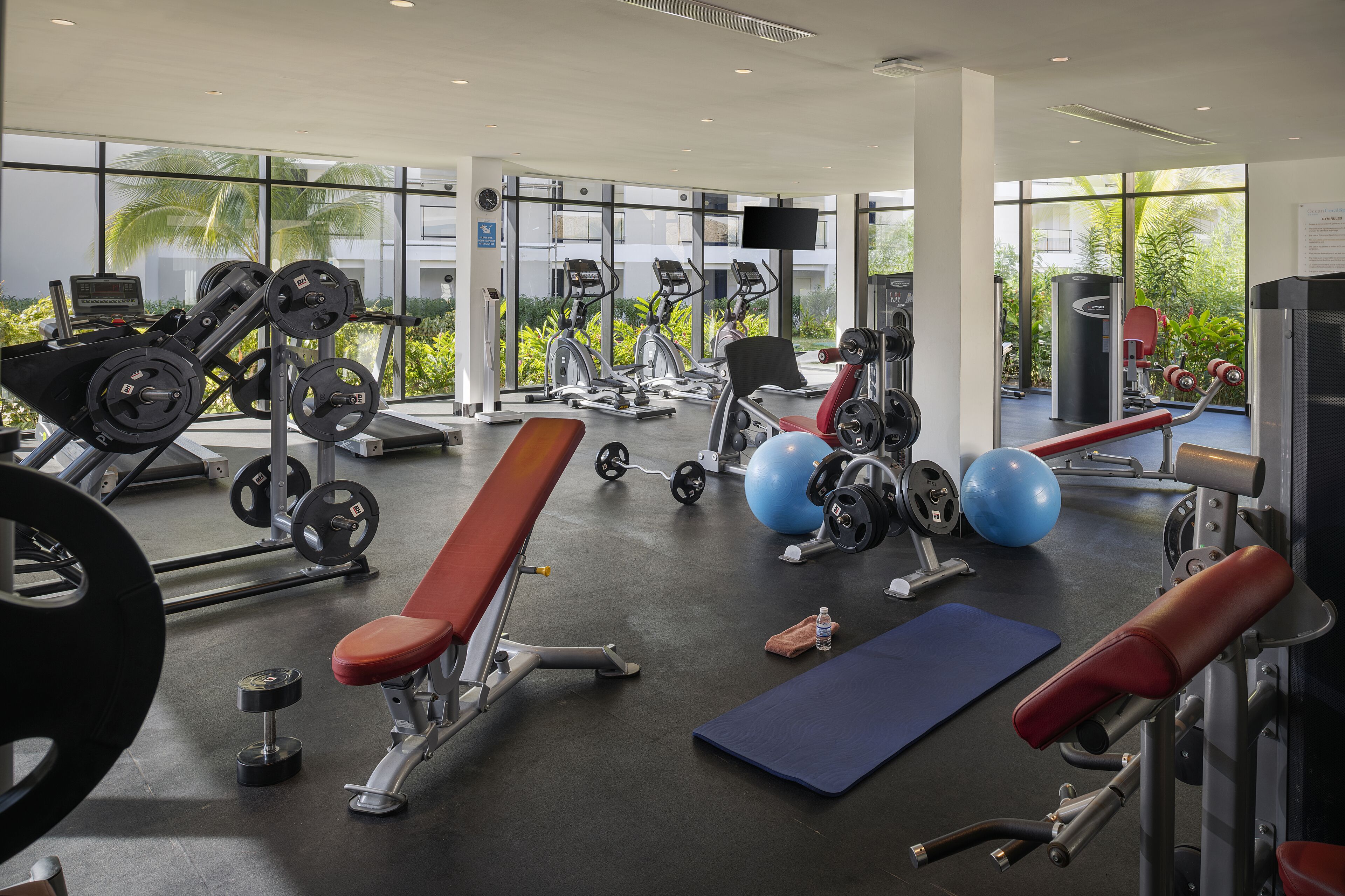 A modern gym with various exercise equipment, large windows, and a view of greenery outside.
