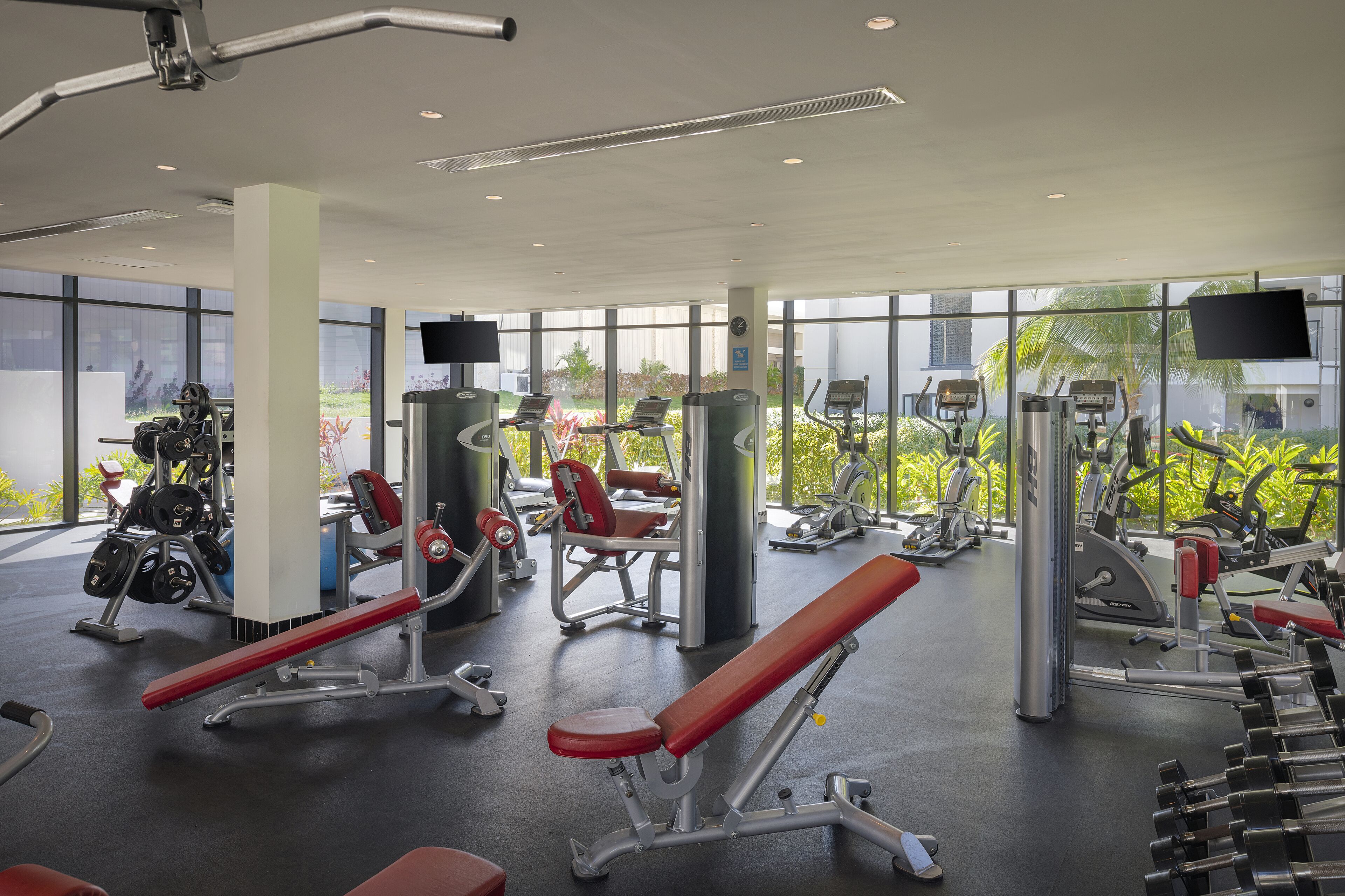 A modern gym with various exercise equipment, large windows, and a view of greenery outside.