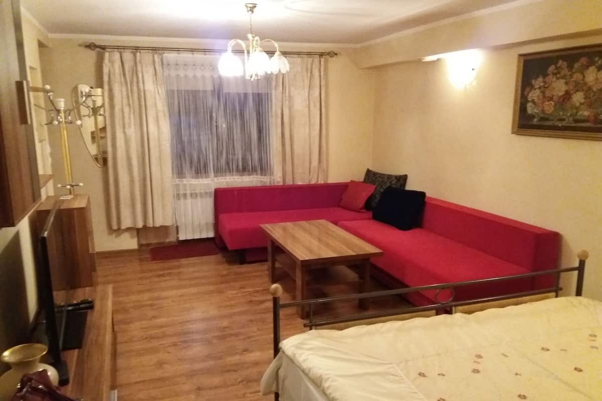 Classic Apartment | 1 bilik tidur, peralatan tempat tidur hipoalergenik, meja 