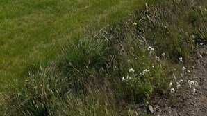 Unclassified image, 4 of 23, button - Glæsibær (Skagafjörour)