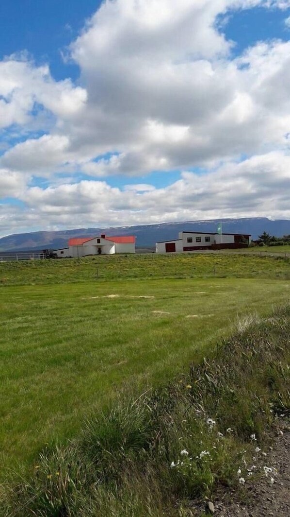 Ulkopuoli