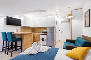 Studio – superior (S2) | Skrivebord, blendingsgardiner, strykejern/-brett og wi-fi (inkludert)