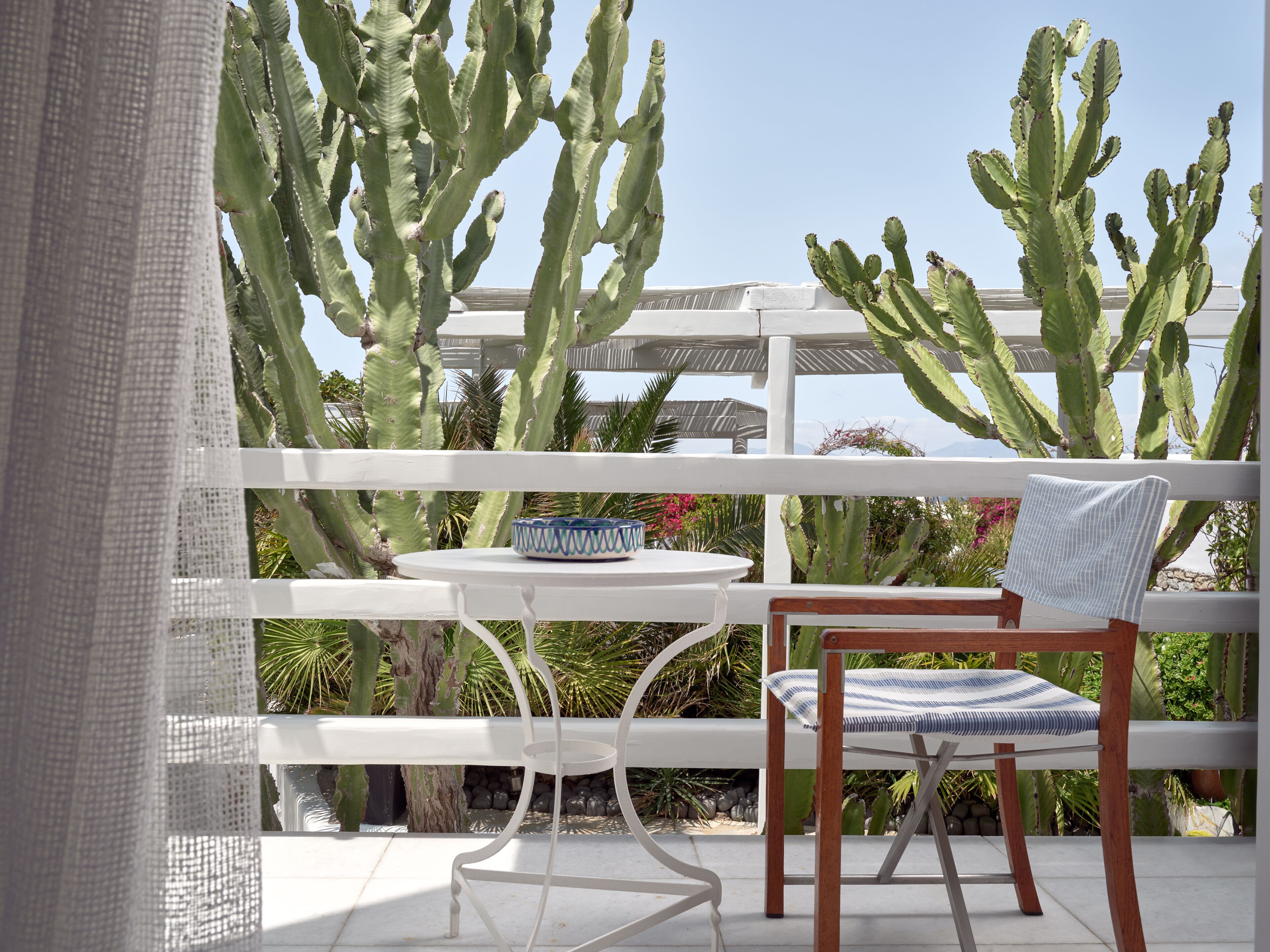 A balcony with a white metal table and chair, surrounded by large cacti and a white pergola.