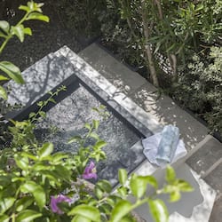 Stroll through this serene outdoor oasis, surrounded by lush plants and a tranquil water feature.