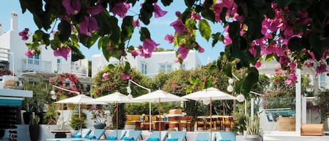 Piscine extérieure, cabanons gratuits, parasols de plage
