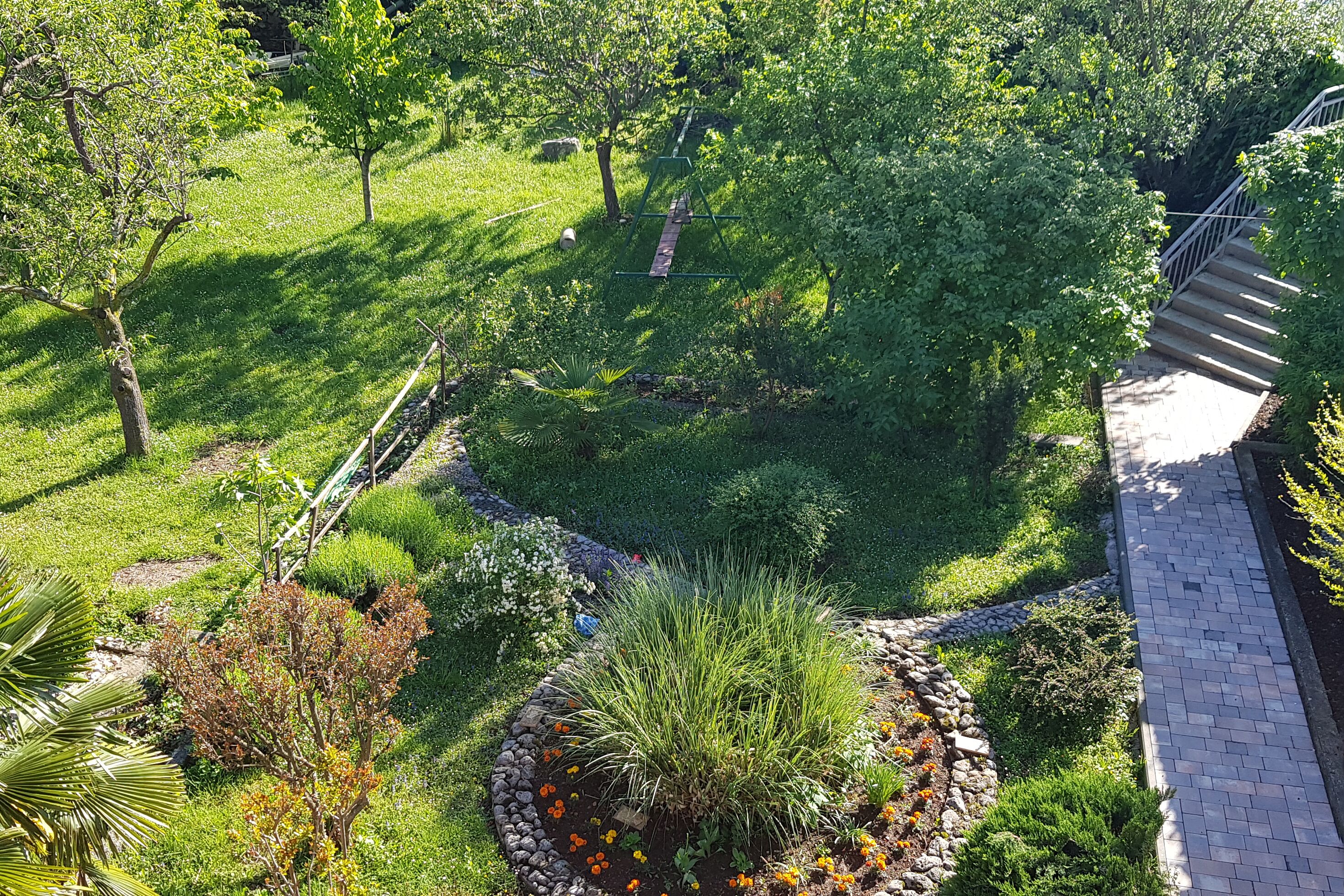 Un jardín con un sendero pavimentado, diversas plantas y un columpio.