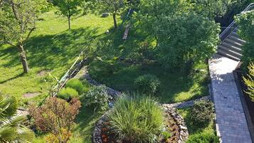 Un jardín con un sendero pavimentado, diversas plantas y un columpio.