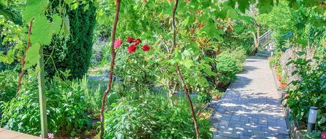 A garden pathway with various plants and a brick walkway.