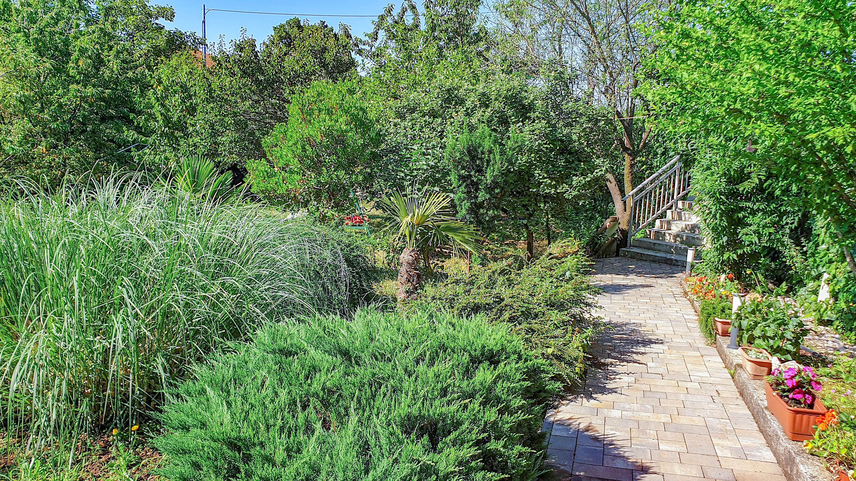 A paved garden pathway surrounded by lush greenery and a staircase leading to a higher level.