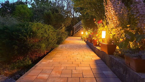 Un sendero pavimentado bordeado de vegetación exuberante y macetas con plantas, que conduce a una escalera.