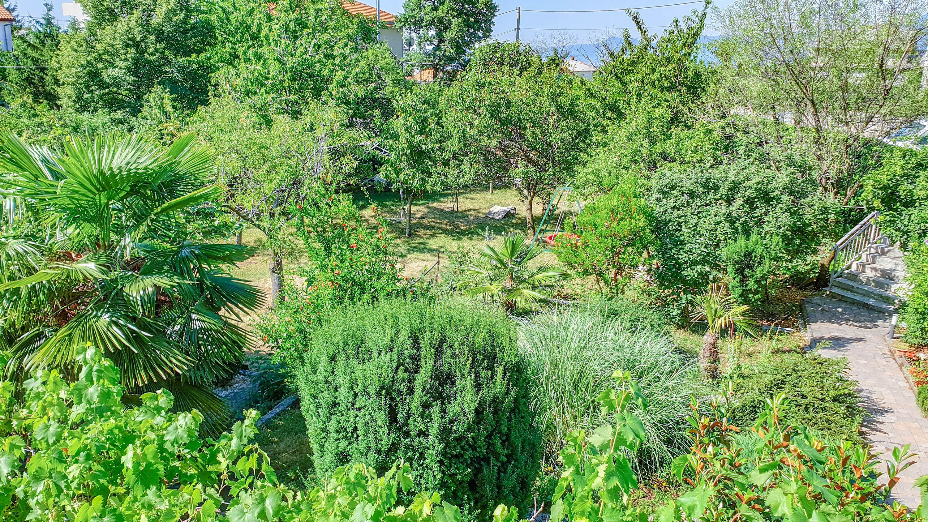 Ein üppiger Garten mit verschiedenen Pflanzen und Bäumen, einem Kiesweg und einer Treppe, die zu einem Gebäude führt.
