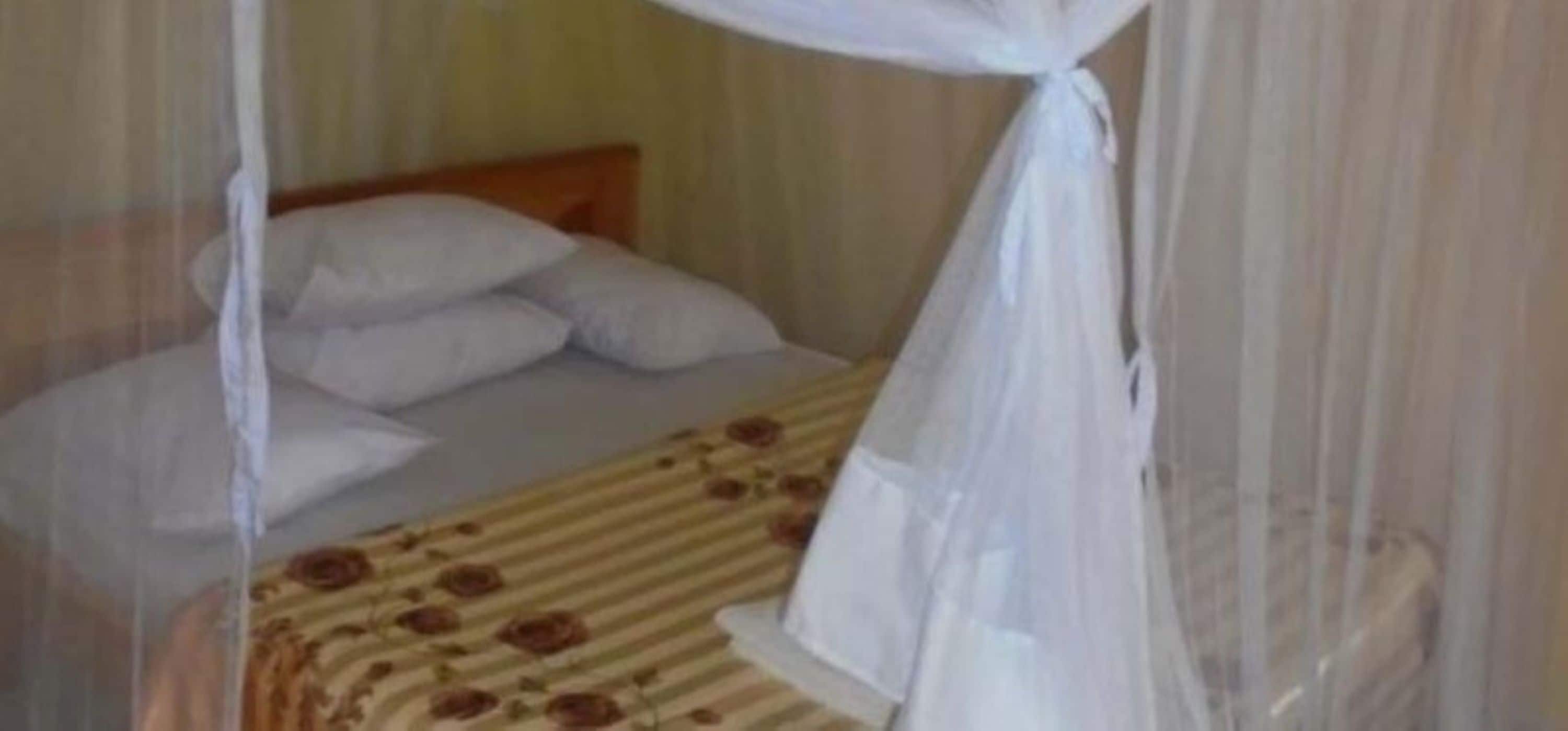 Standard Room | Memory foam beds, desk, blackout drapes, free WiFi