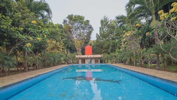 A rectangular swimming pool with clear blue water, surrounded by lush greenery and trees.