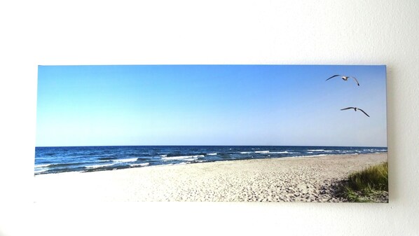 Eine Strandansicht mit blauem Himmel und zwei fliegenden Möwen.