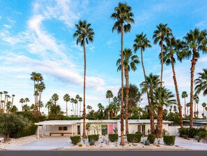 A modern building with multiple palm trees in front, a clear sky, and a parking area.