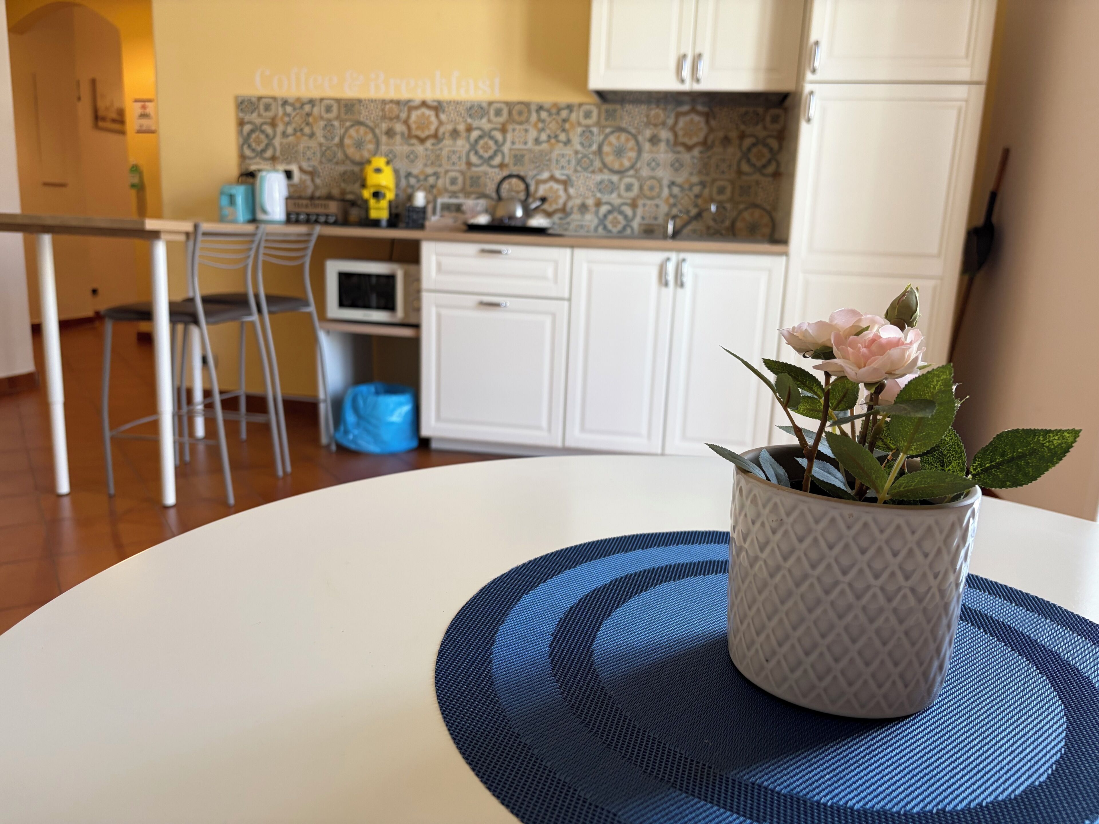 Una cocina con armarios blancos, salpicadero de azulejos, comedor con mesa y sillas, y una planta en maceta sobre la mesa.