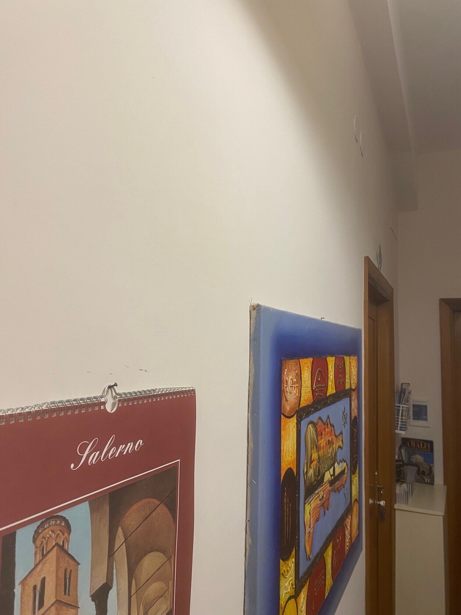 A hallway with a red and blue framed picture on the wall, a door, and a small window in the background.