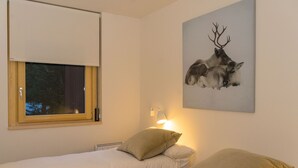 2 soverom, strykejern/-brett, wi-fi (inkludert) og sengetøy