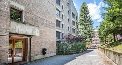 Pomal Cozy and practical apartment for 2p in level 1500 of Baqueira-Beret