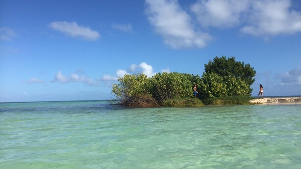 A clear turquoise sea with a small island covered in dense green vegetation. - MALAKA F1 of charm ........ (LE MOULE)