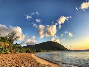 A beach with a clear sky, palm trees, and a mountain in the background.