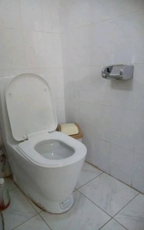 Ducha y cabezal de ducha tipo lluvia