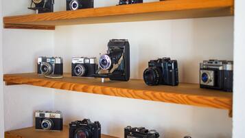 A collection of vintage cameras displayed on wooden shelves against a plain wall.