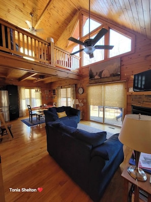 Smart TV, chimenea, libros