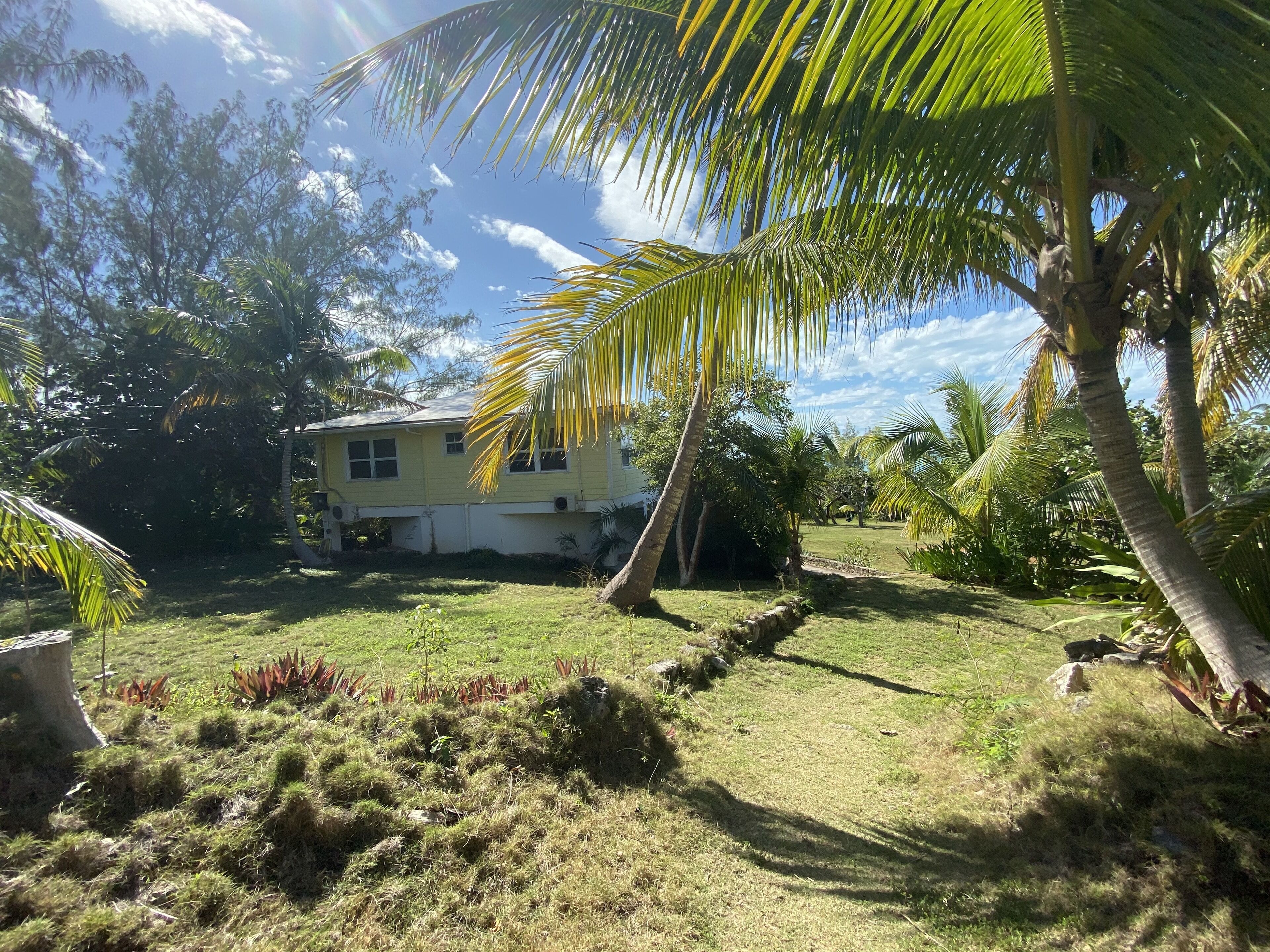A house with a grassy yard, palm trees, and a clear sky.