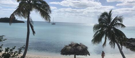 A beach with palm trees, a thatched umbrella, and a boat in the distance.